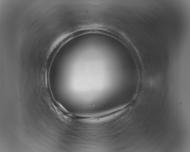 X0000077361320200610201312