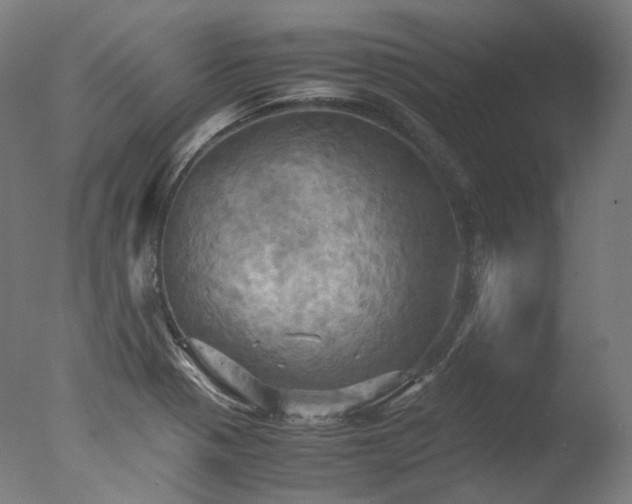 X0000077361321200610201312