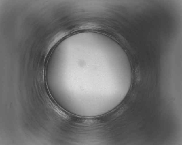 X0000077361322200610201312