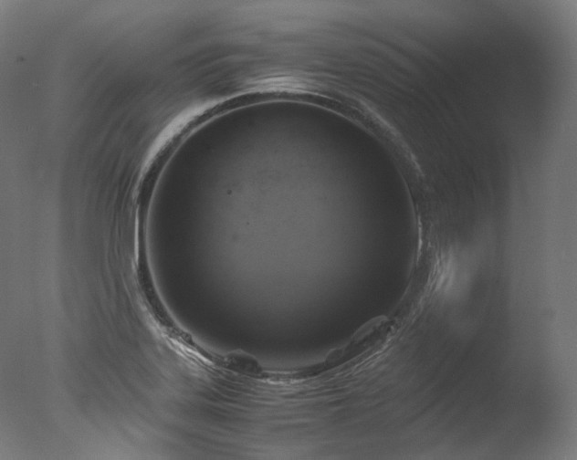 X0000077361323200610201312