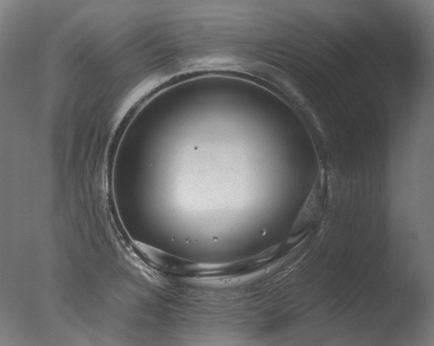 X0000077361328200610201312