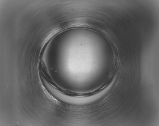 X0000077361330200610201312
