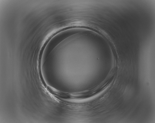 X0000077361334200610201312