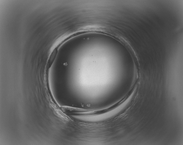 X0000077361336200610201312