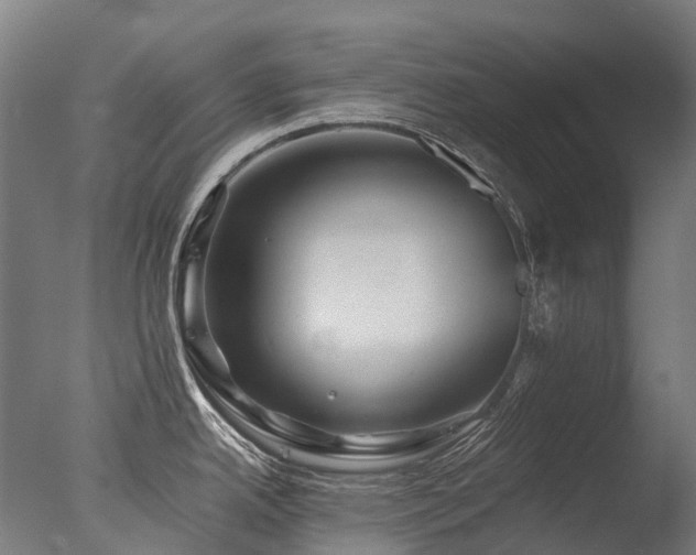 X0000077361342200610201312