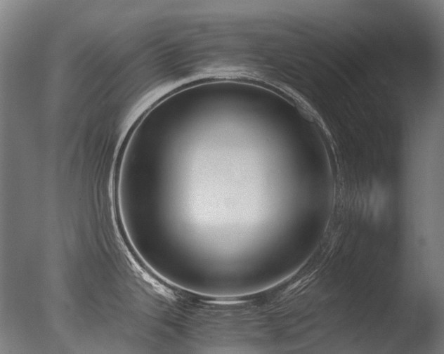 X0000077361343200610201312