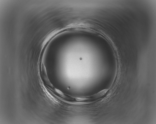 X0000077361344200610201312