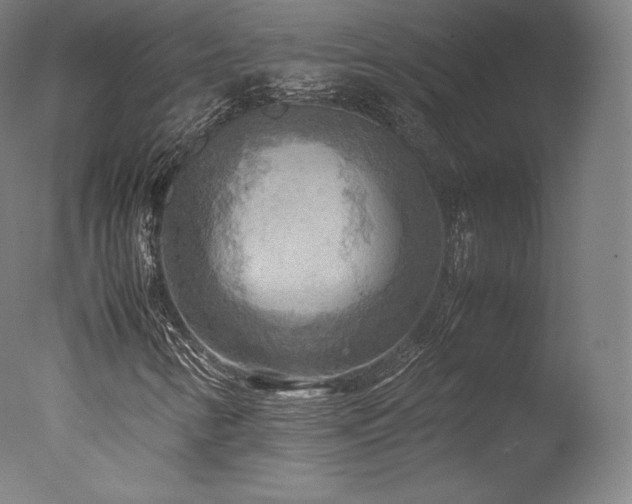 X0000077361346200610201312