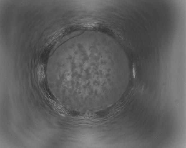 X0000077361347200610201312