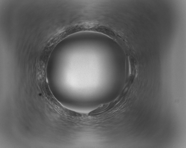 X0000077361349200610201312