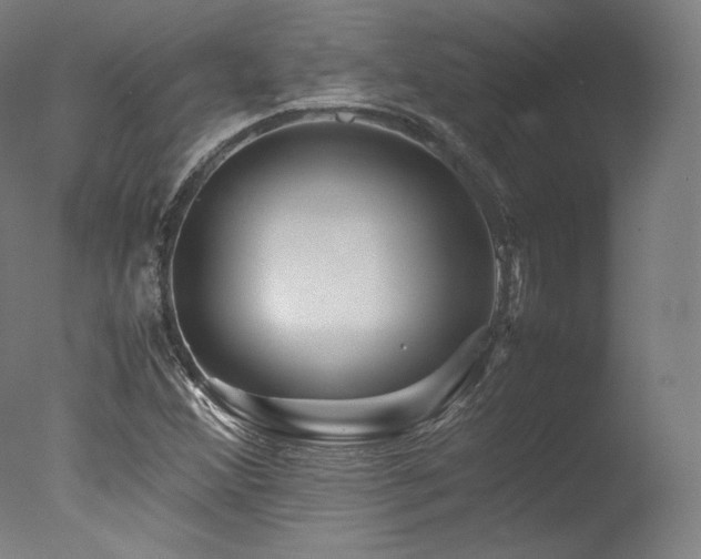 X0000077361356200610201311