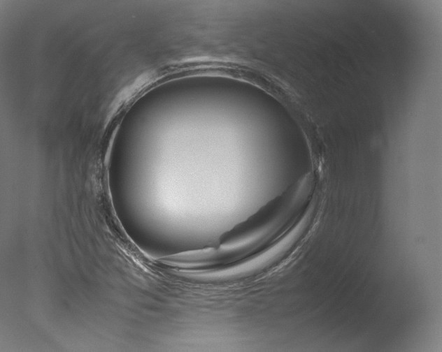 X0000077361357200610201311