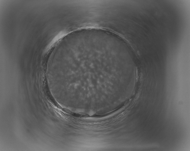 X0000077361359200610201311