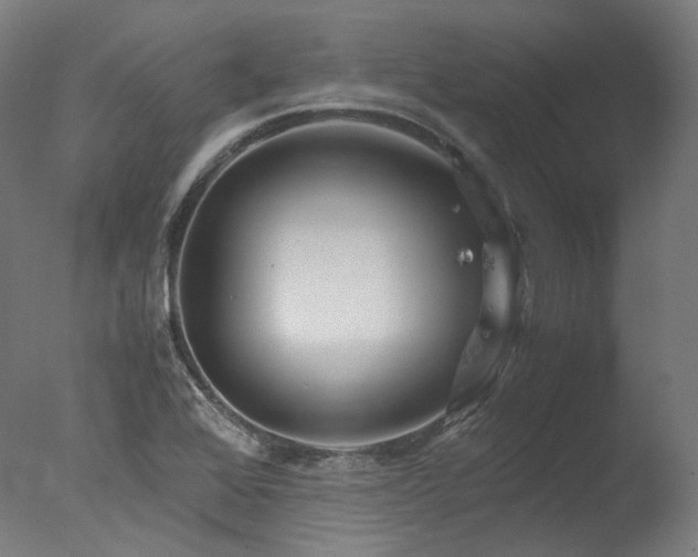 X0000077361368200610201311