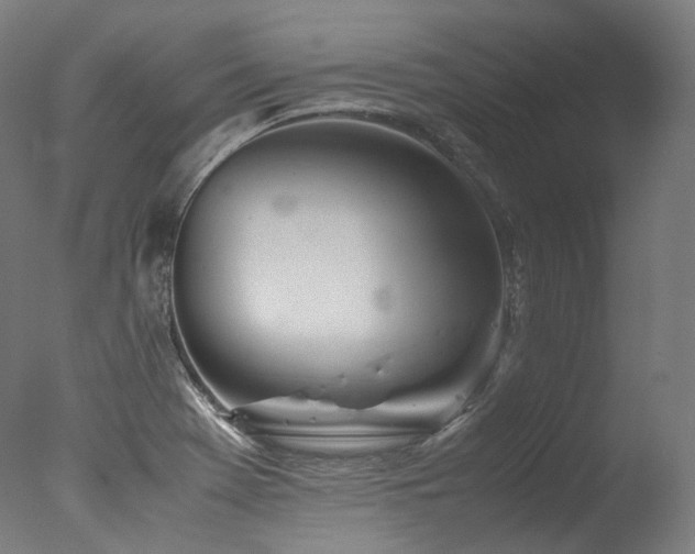 X0000077361369200610201311