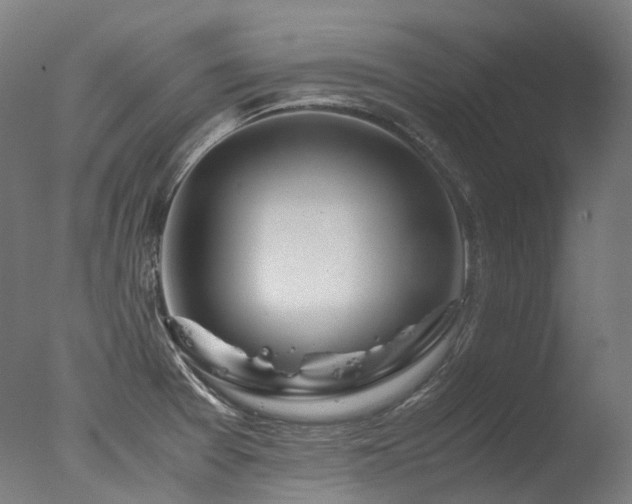 X0000077361377200610201311