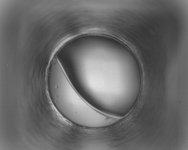 X0000077361392200610201311
