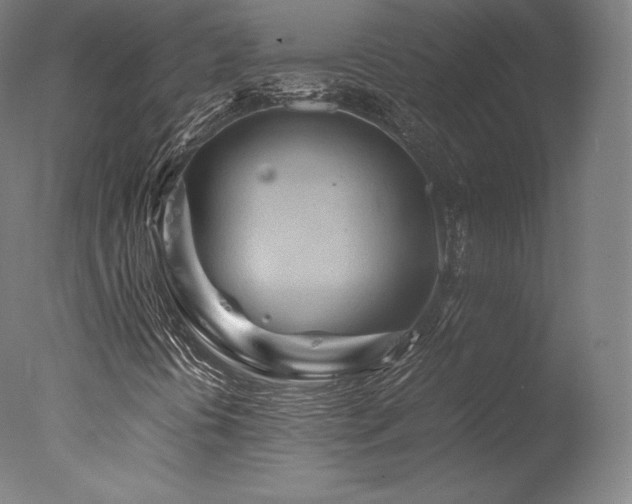 X0000077361394200610201310