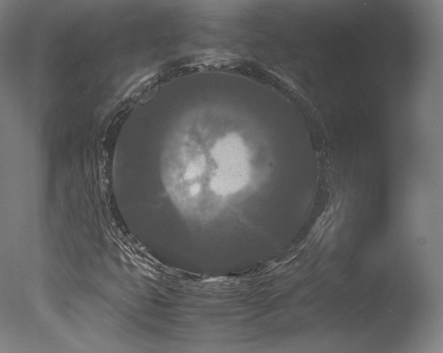 X0000077361399200610201310
