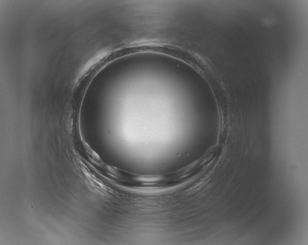 X0000077361406200610201310