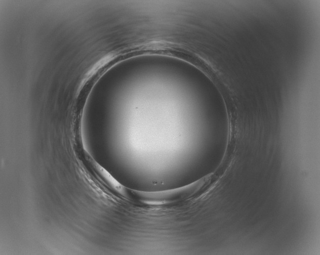 X0000077361410200610201310