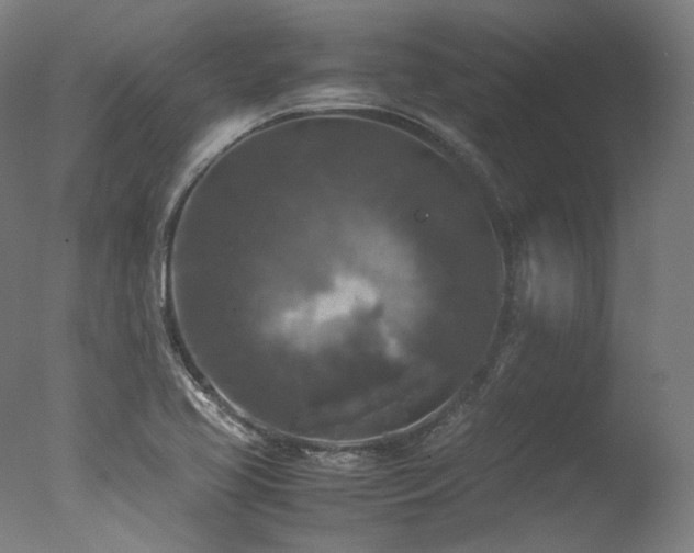 X0000077361413200610201310
