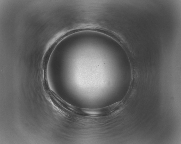X0000077361414200610201310