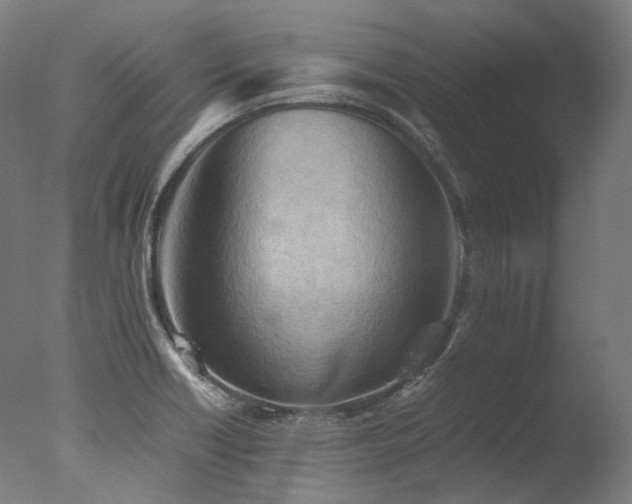 X0000077361418200610201310