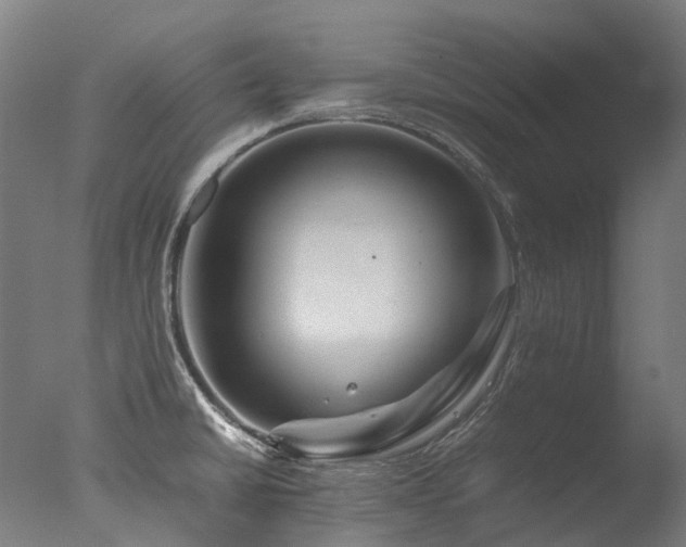 X0000077361430200610201311