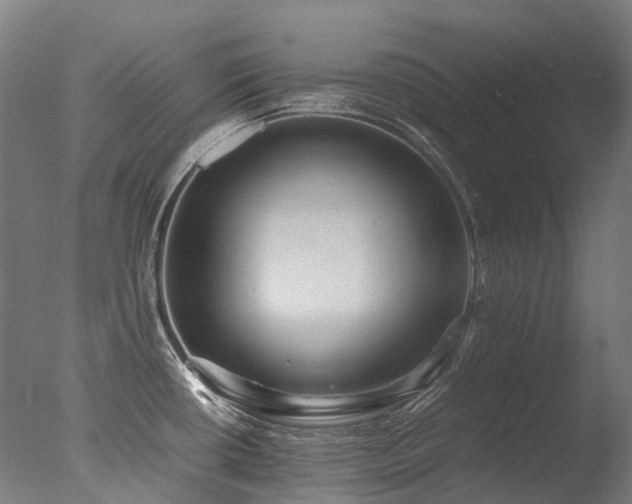X0000077361434200610201311