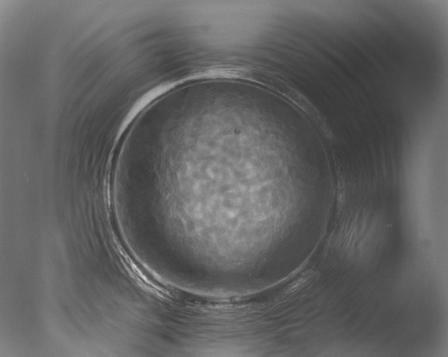 X0000077361436200610201311