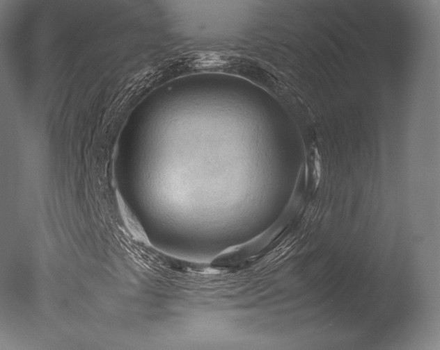X0000077361441200610201310