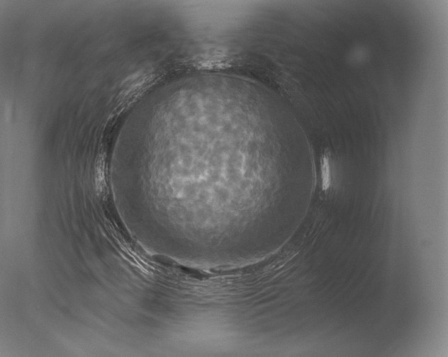 X0000077361444200610201310