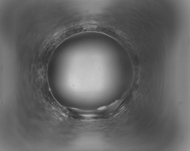 X0000077361445200610201310