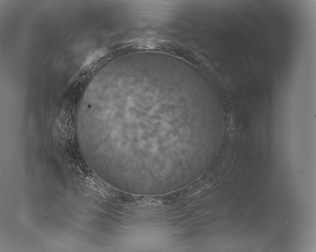 X0000077361446200610201310