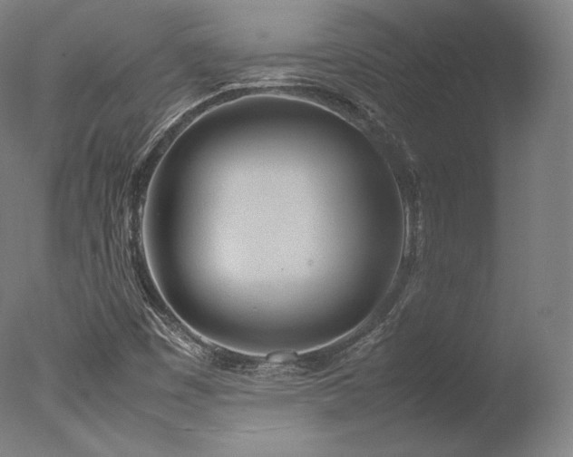 X0000077361449200610201310