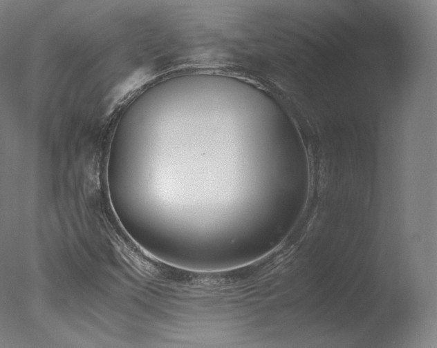 X0000077361451200610201310
