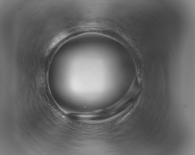 X0000077361453200610201310
