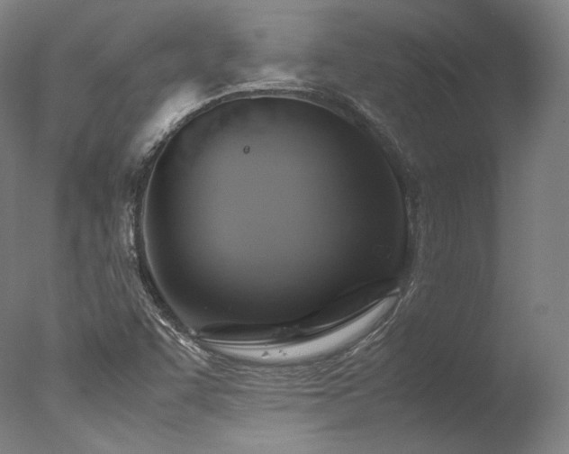 X0000077361455200610201310