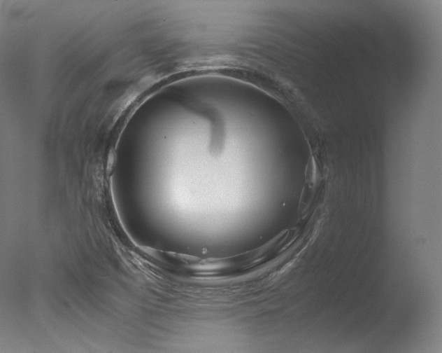 X0000077361457200610201310