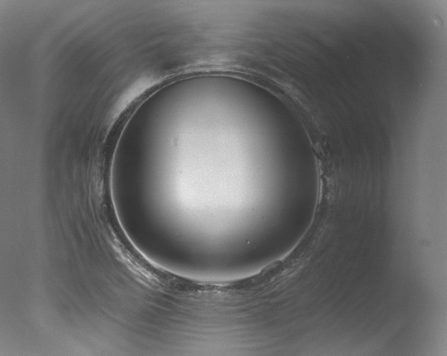 X0000077361458200610201310
