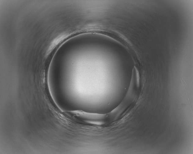 X0000077361461200610201310