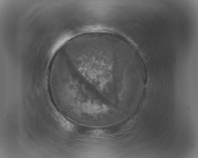 X0000077361463200610201310