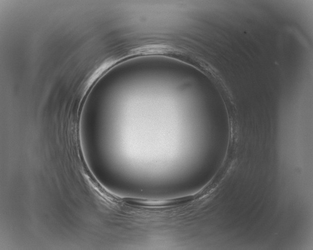 X0000077361473200610201309