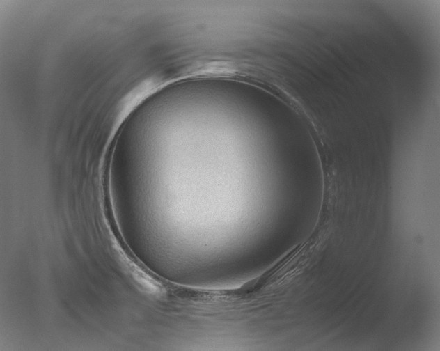 X0000077361475200610201309