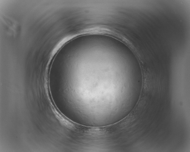 X0000077361478200610201309