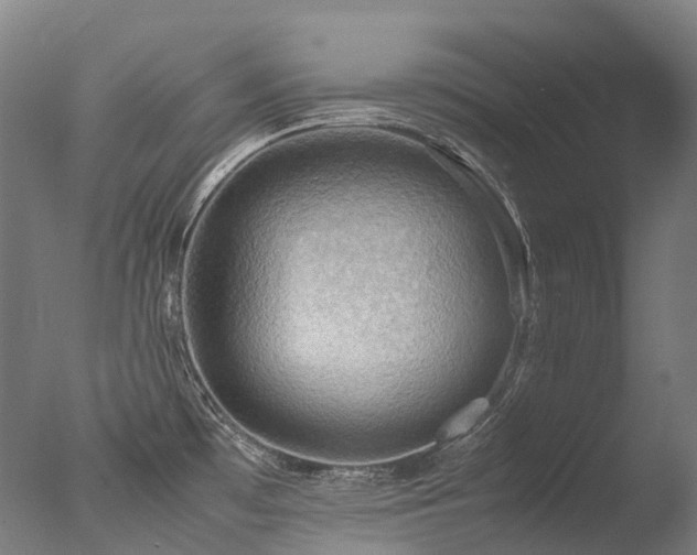 X0000077361481200610201309