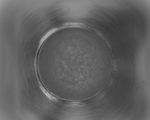 X0000077361482200610201309