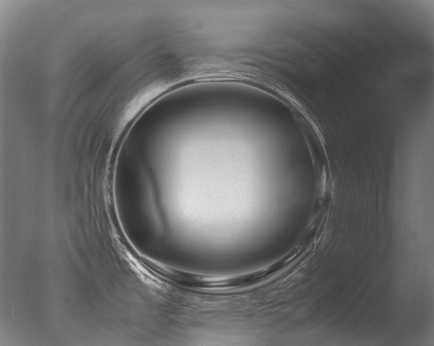 X0000077361485200610201309