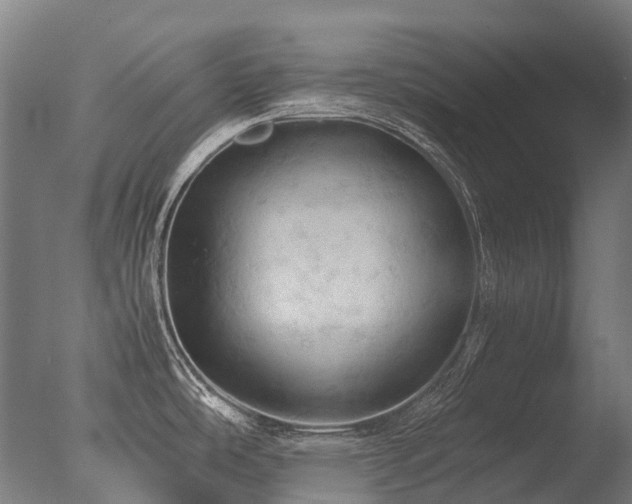 X0000077361486200610201309